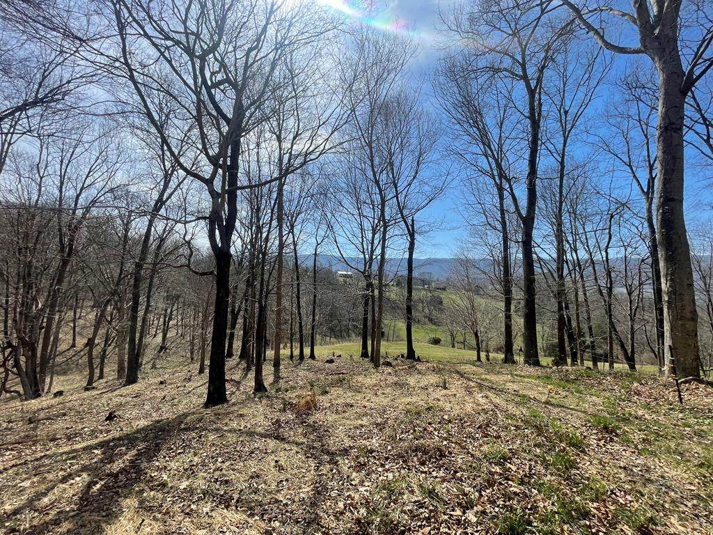 TBD Deer View Lane - Photo 1