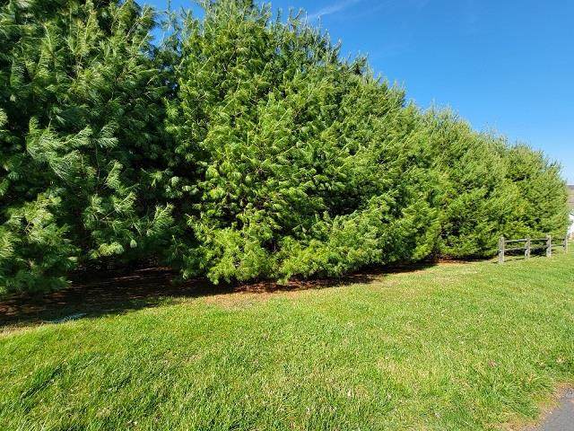 TBD Stonebrook Dr - Photo 1