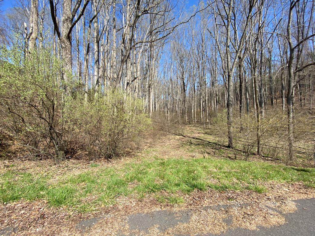 tbd Carterville Heights Road - Photo 1