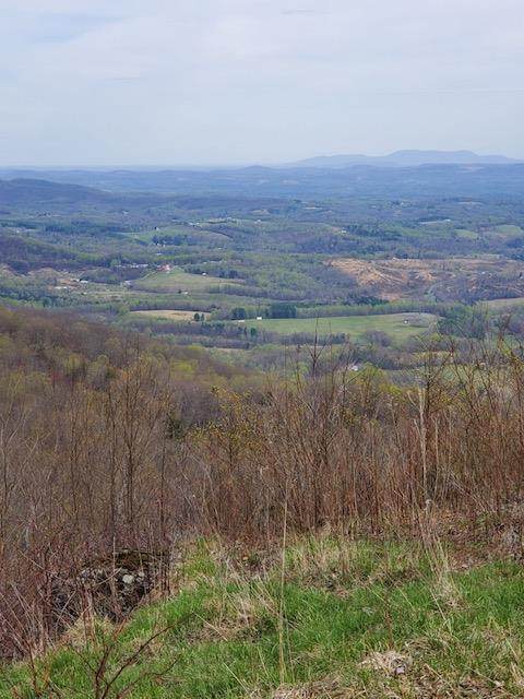 TBD Blue View Circle - Photo 1