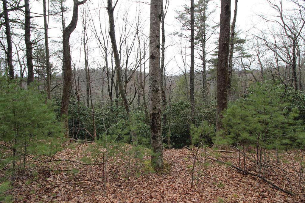 TBD Spring Lure Trail - Photo 1