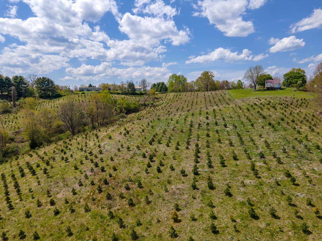 20 Acres Little Vine Rd - Photo 1