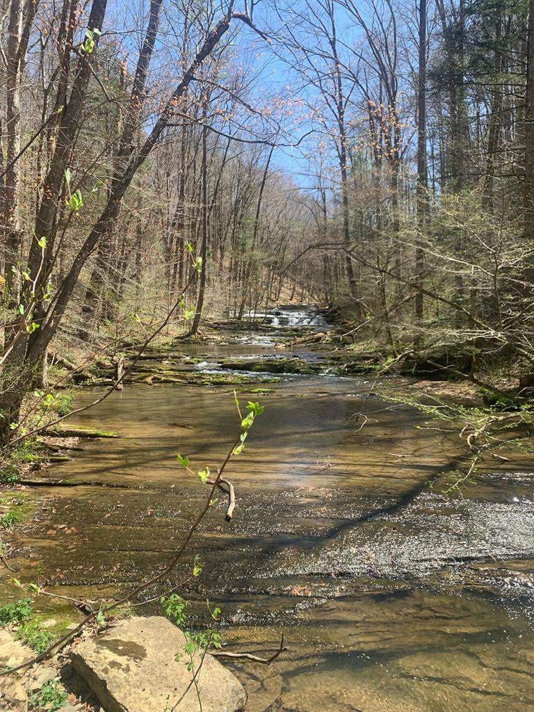 TBD Hayters Gap Road - Photo 1