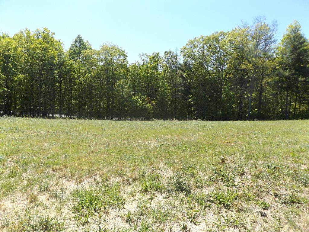 TBD Deer Ridge - Photo 1
