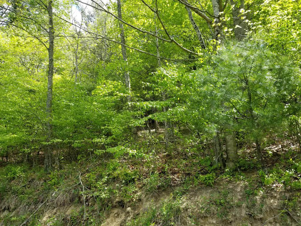 TBD Laurel Hill Rd - Photo 1