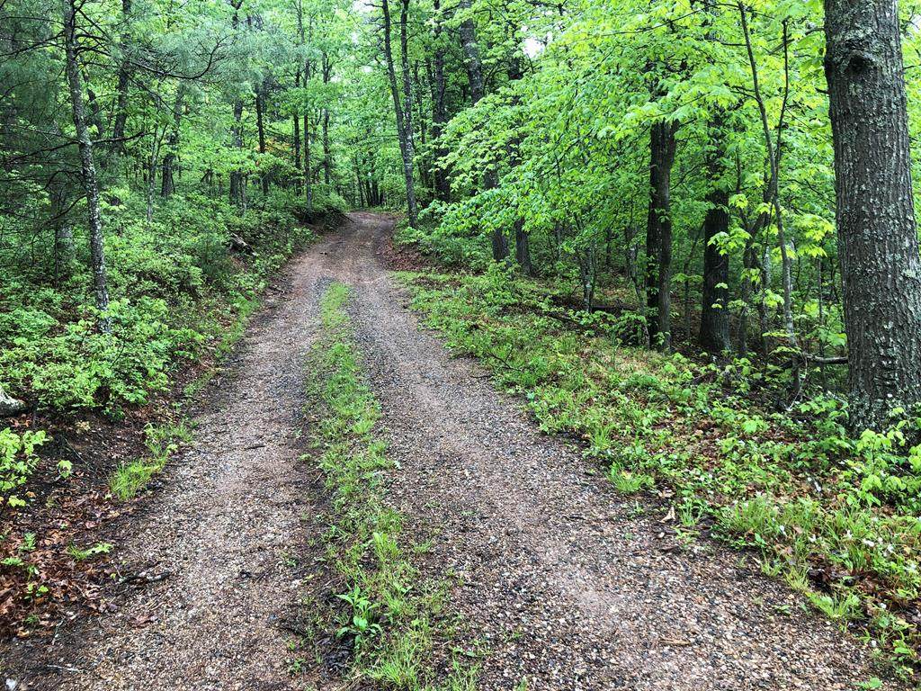 TBD Hall Hollow Rd - Photo 1