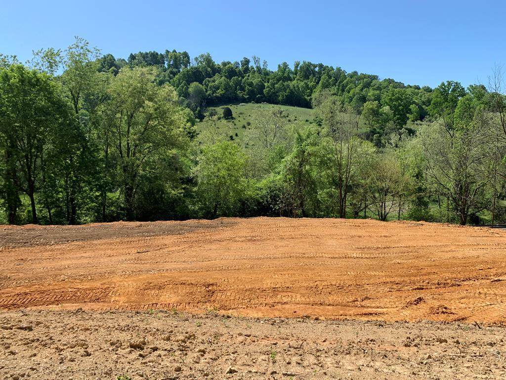 TBD Wallace Pike - Photo 1