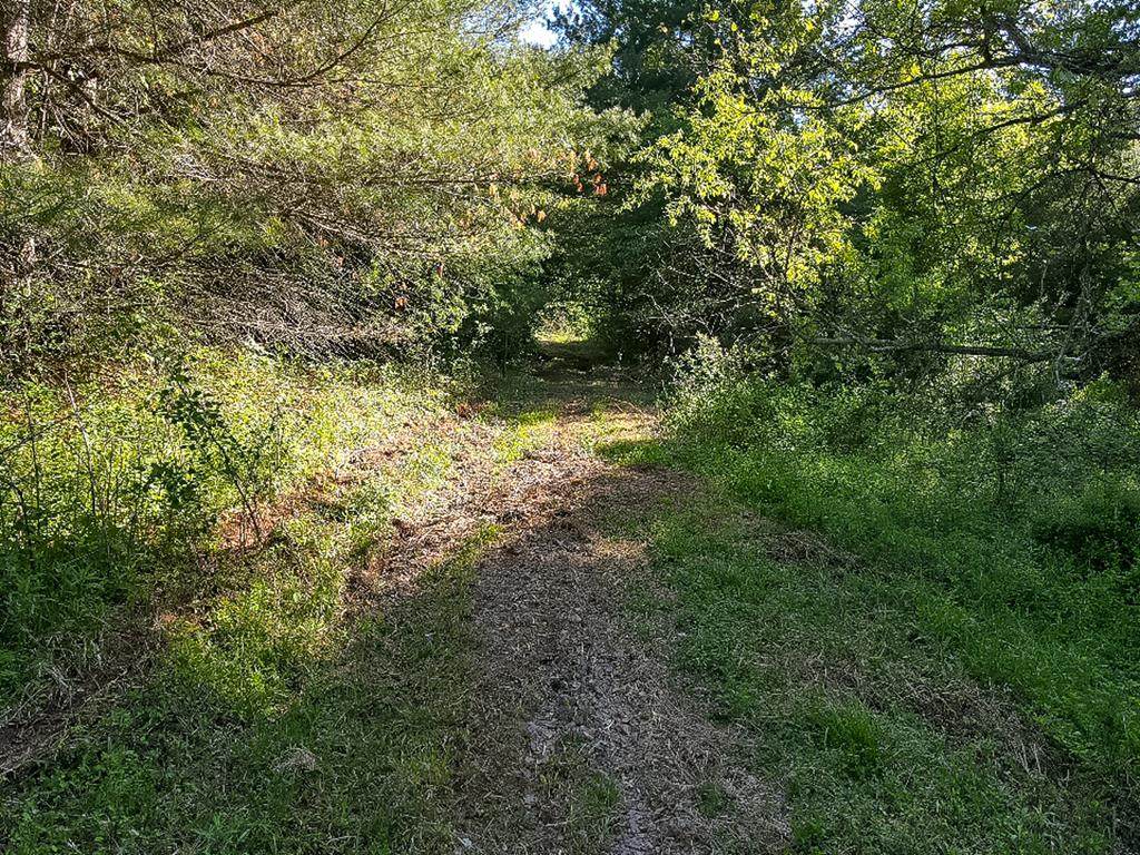15 Acres Witts End Rd - Photo 1
