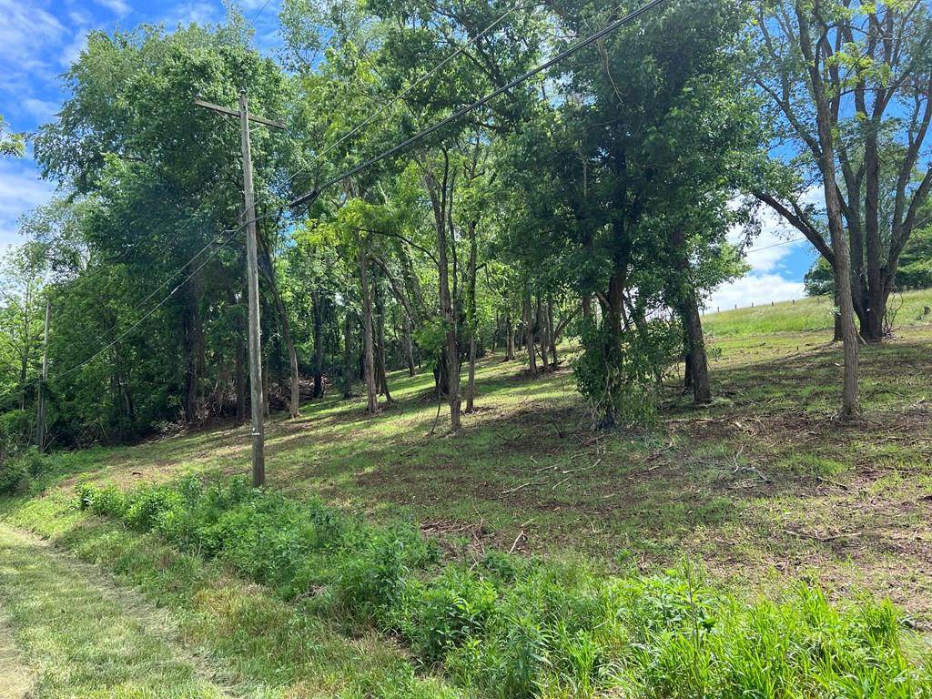 TBD Good Hope Rd. - Photo 1