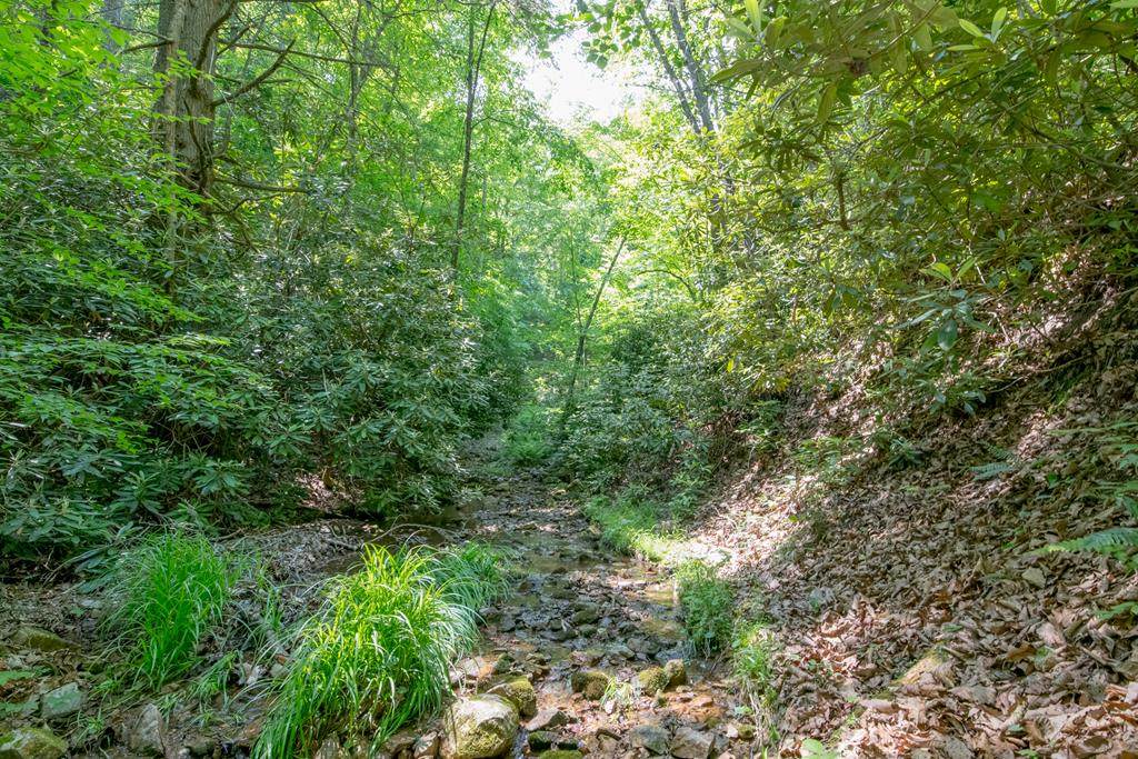 133 Acre Gator Mountain Rd - Photo 1