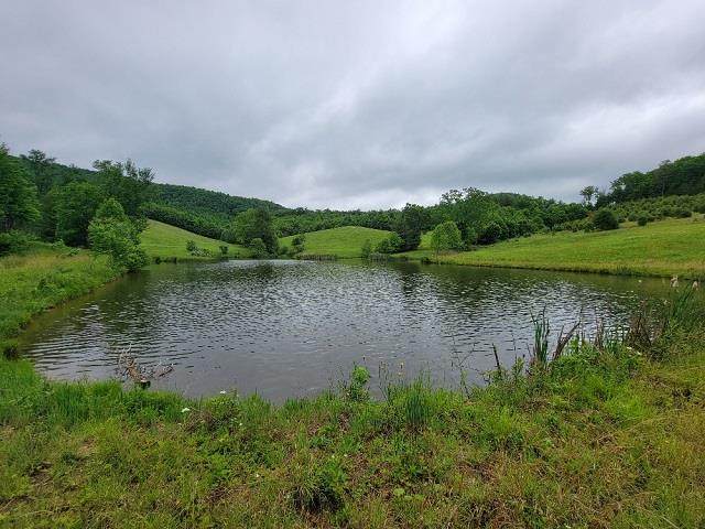 6-A-16 Elk Creek Pkwy - Photo 1
