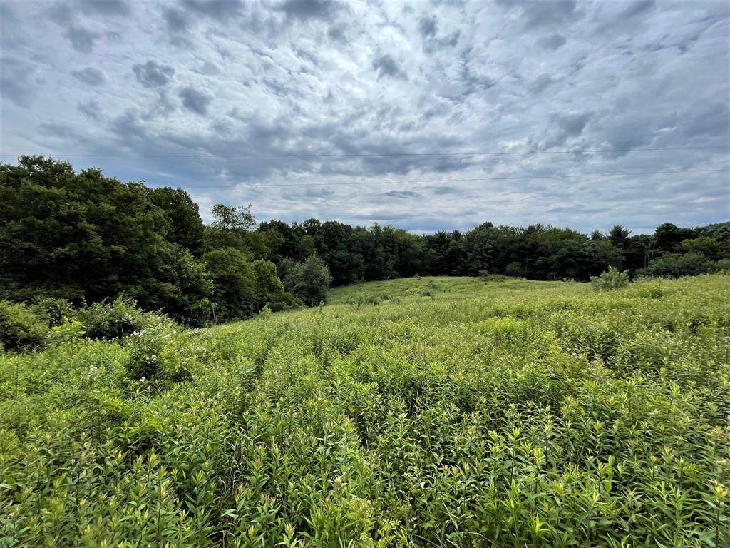 TBD Highview Lane - Photo 1