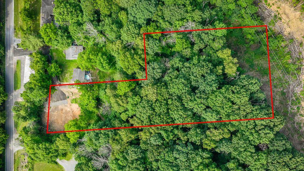 TBD Island Rd - Photo 1