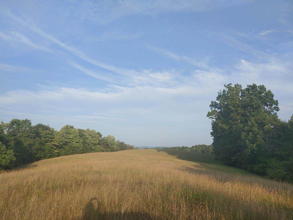 TBD Ridge Rd - Photo 1