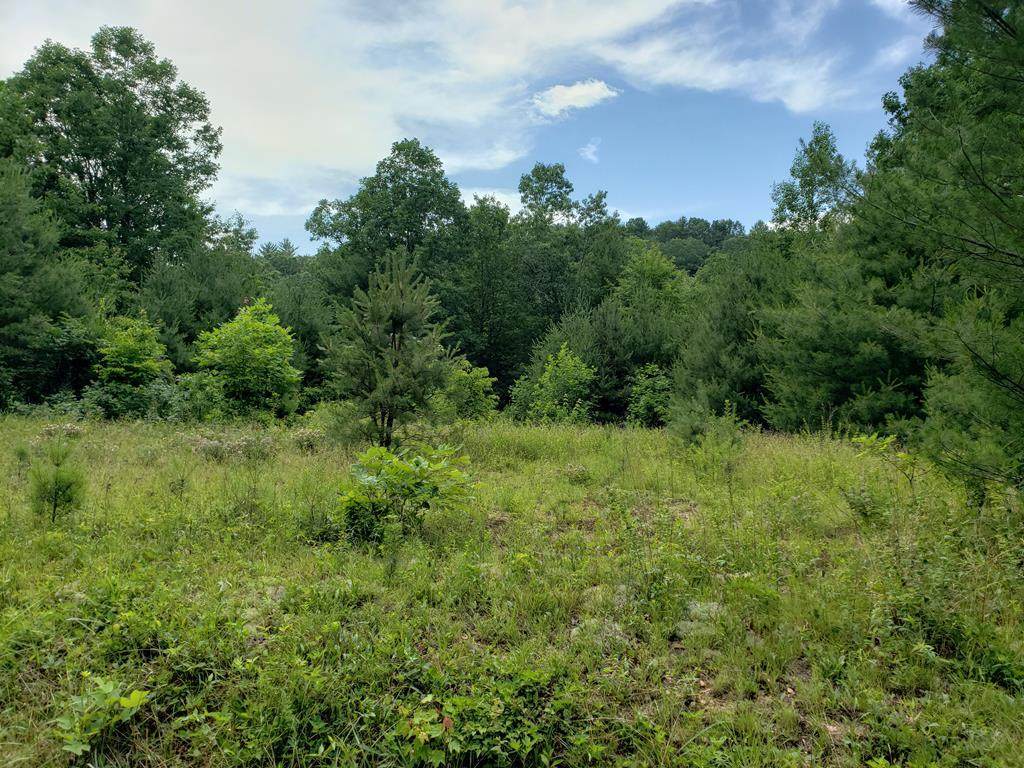 TBD Byllesby Rd. - Photo 1