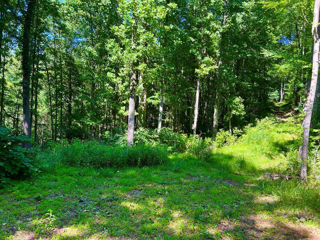 TBD Pine Mountain Drive - Photo 1