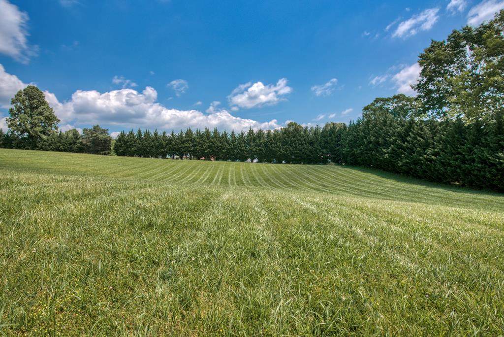 Lot #17 Skyward Drive - Photo 1