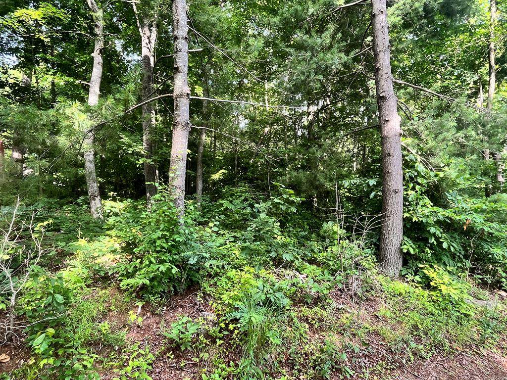 TBD Driftwood Lane - Photo 1