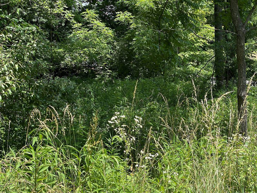 TBD College Estates Rd - Photo 1