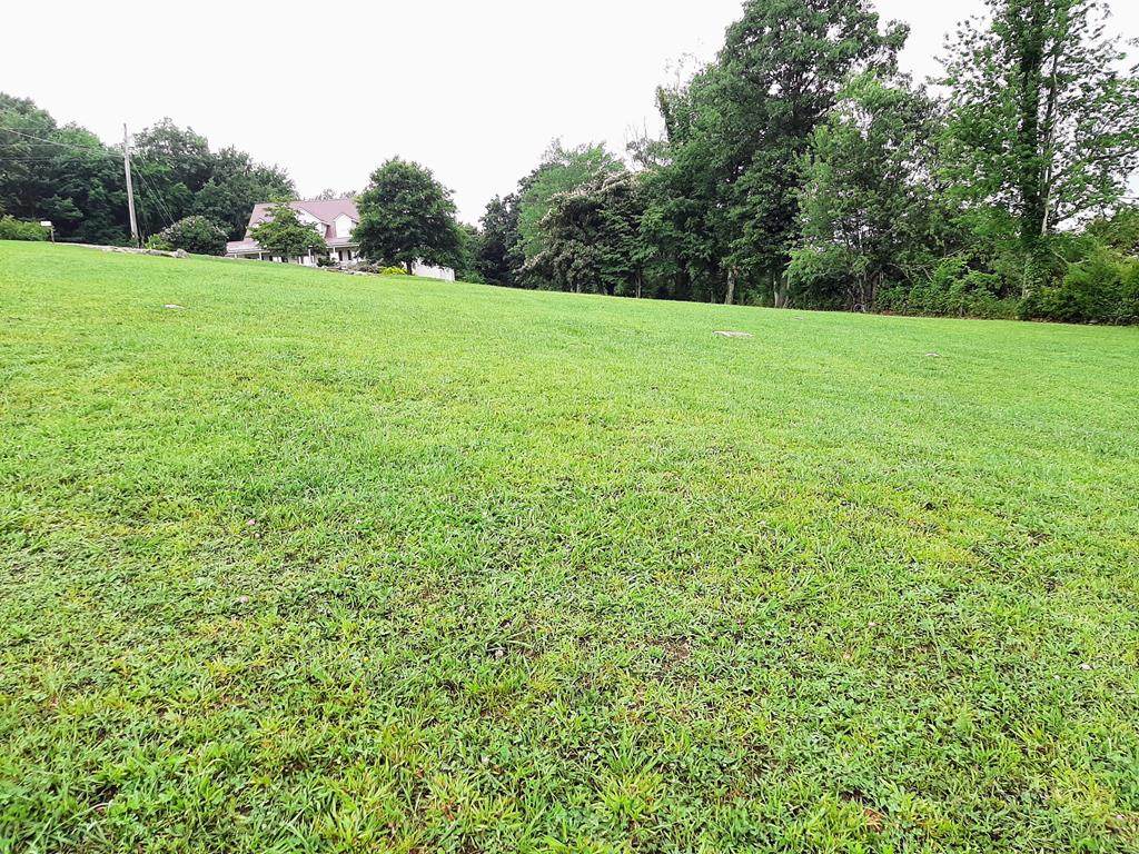 TBD Warner Subdivision Road - Photo 1