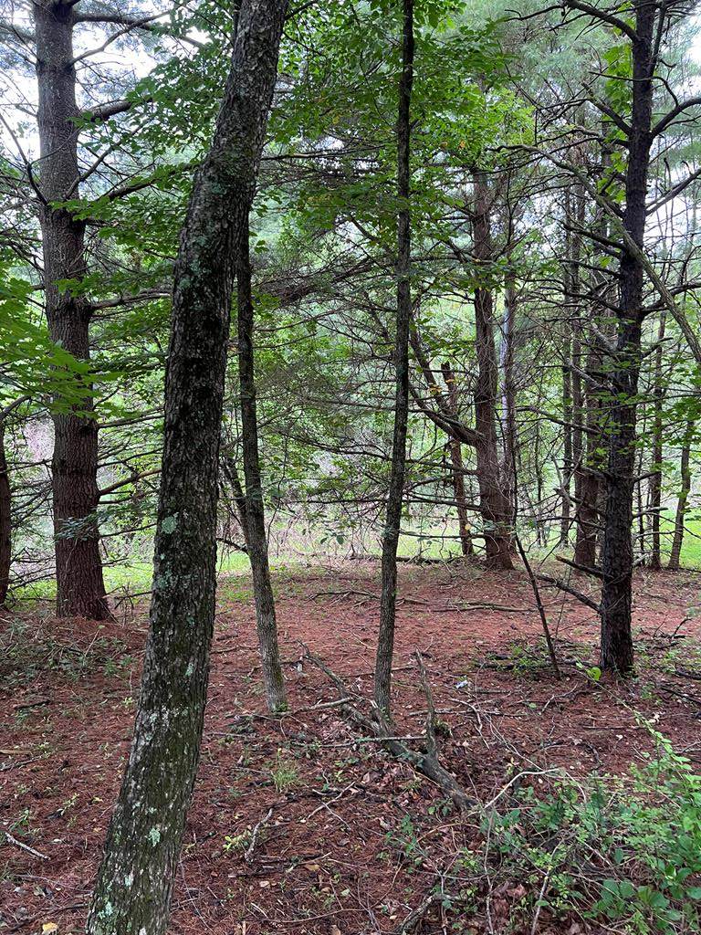 TBD Stetson Rd - Photo 1
