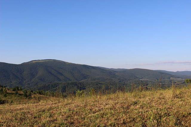 000 Pond Mtn - Photo 1