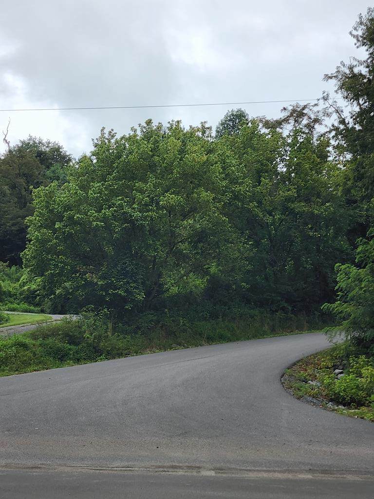 TBD Azure Ln - Photo 1