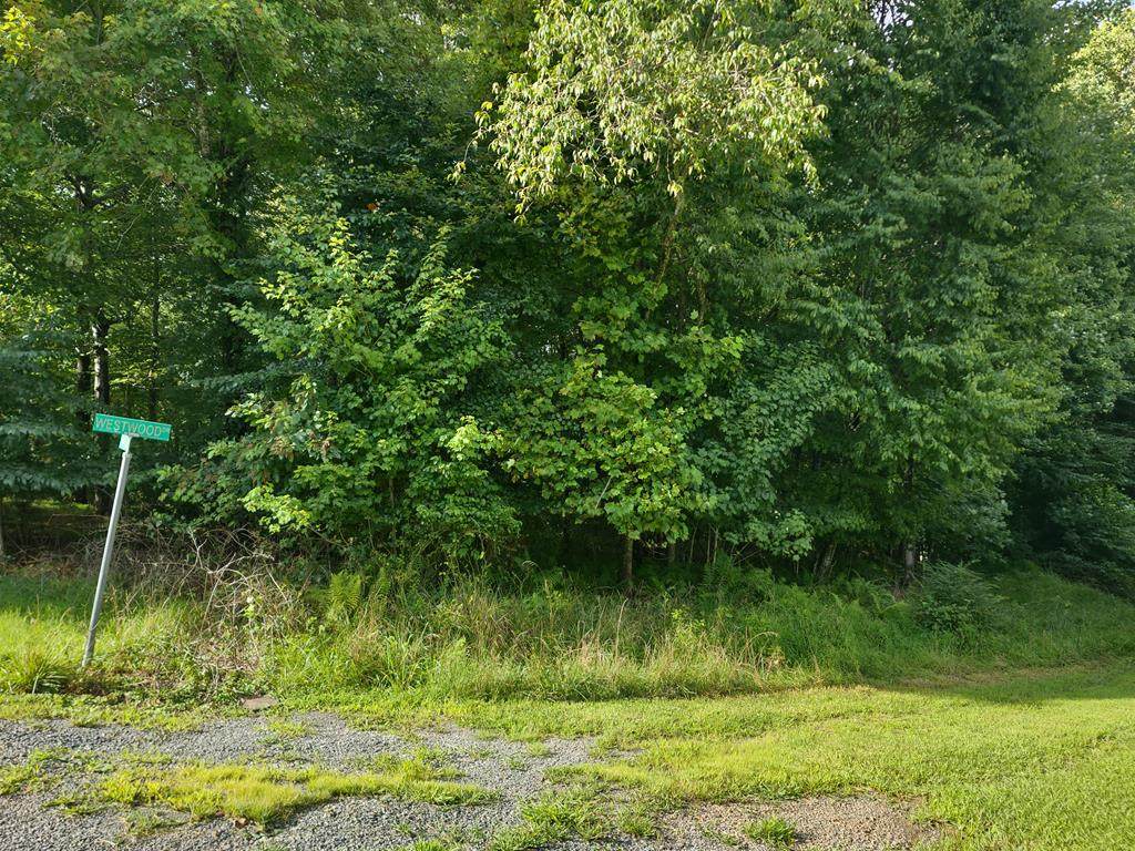 TBD Westwood Drive - Photo 1