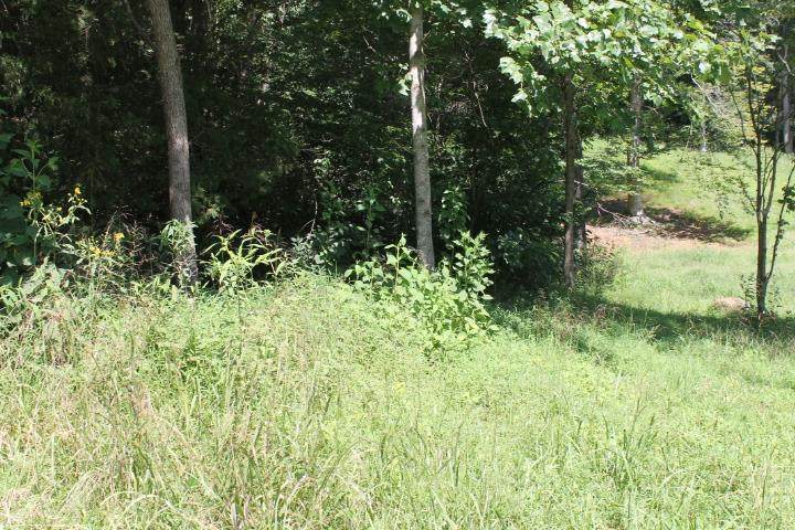 TRACT 22 Capri Avenue - Photo 1