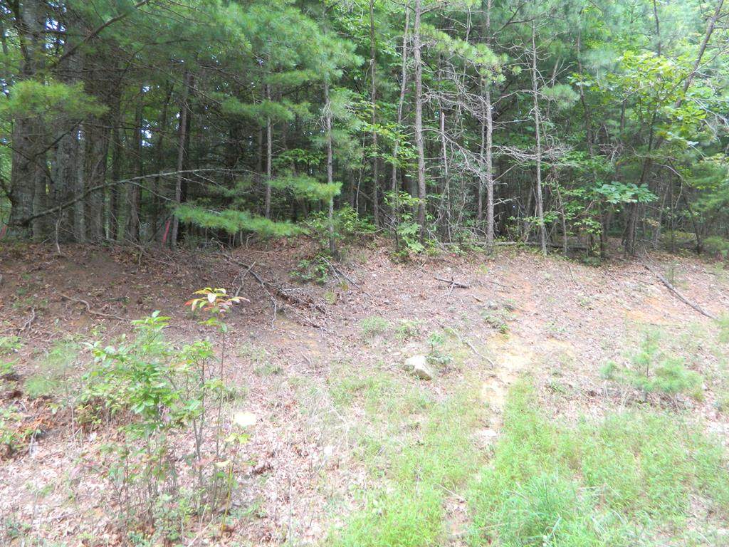 TBD Pen Road - Photo 1
