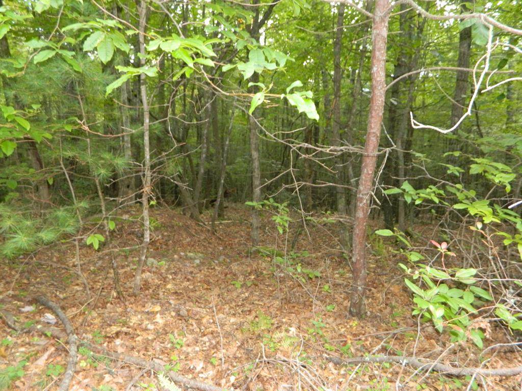 TBD Pen Road - Photo 1