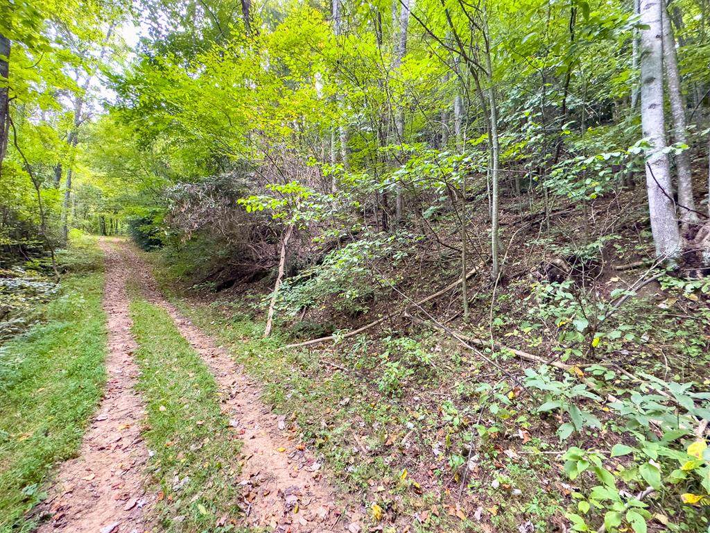 Lot 208 Doe Run - Photo 1