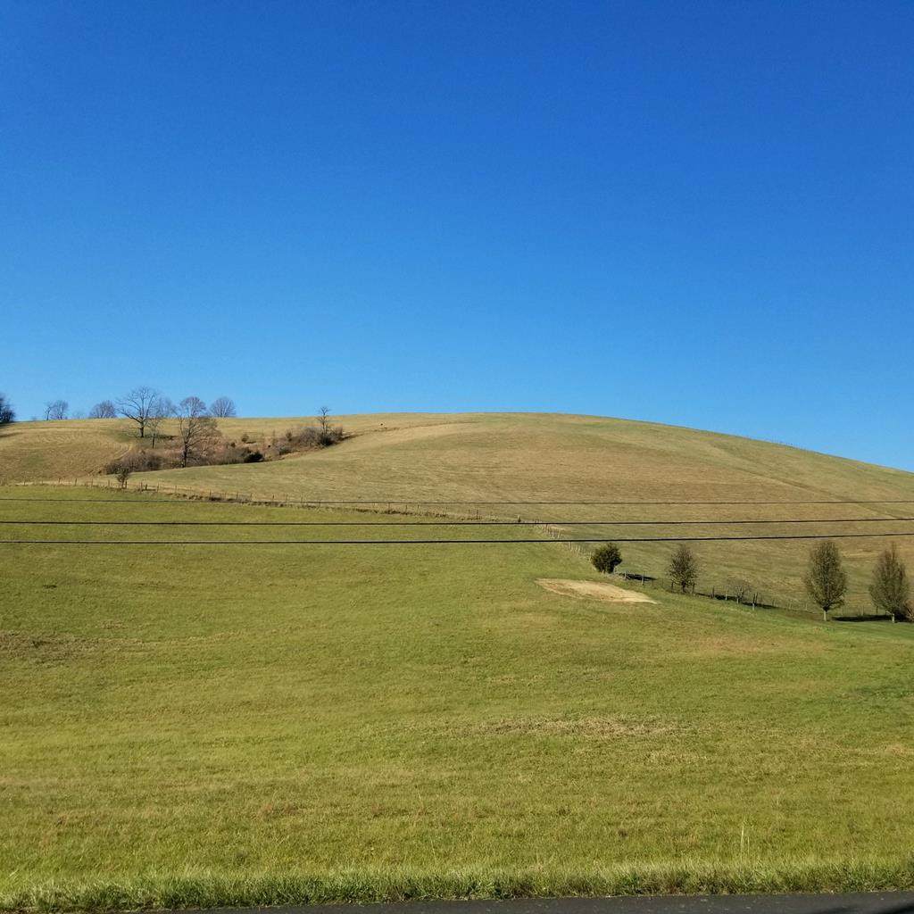 TBD Black Hollow Rd - Photo 1