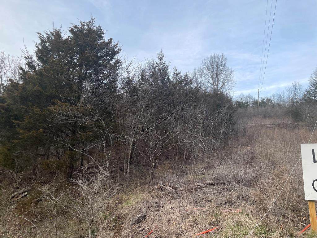 TBD Martin Farm Rd - Photo 1