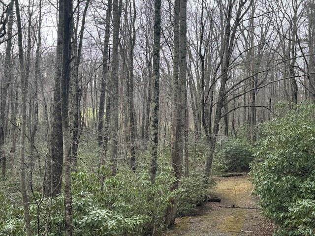 TBD Crooked Creek Lane - Photo 1