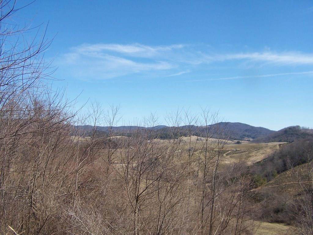 Lot #5 Off Mountain Meadows Lane - Photo 1