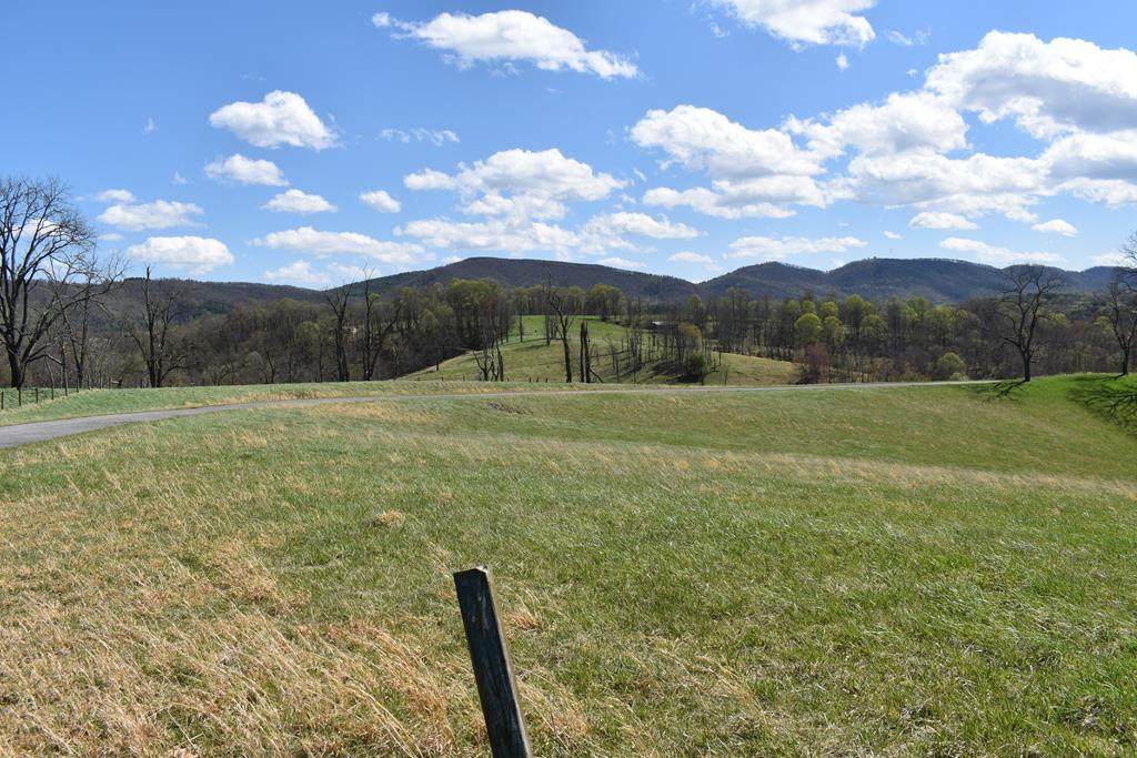 #45 River Walk Lane - Photo 1