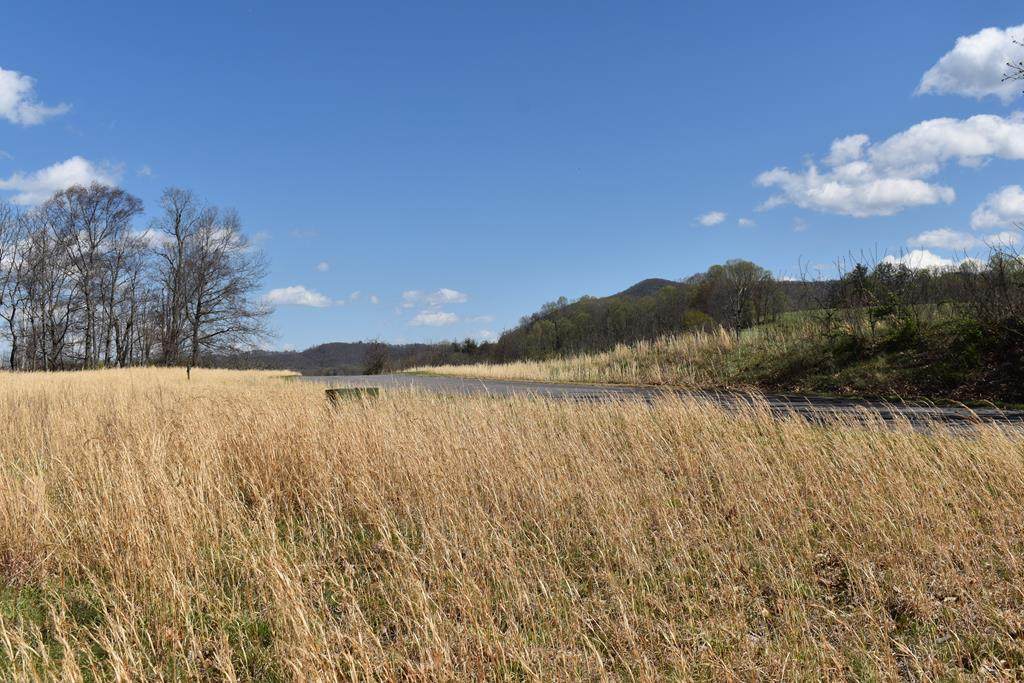 #49 River Walk Lane - Photo 1