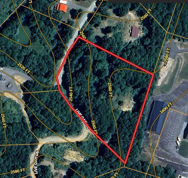 389 Live Oak Ln - Photo 1