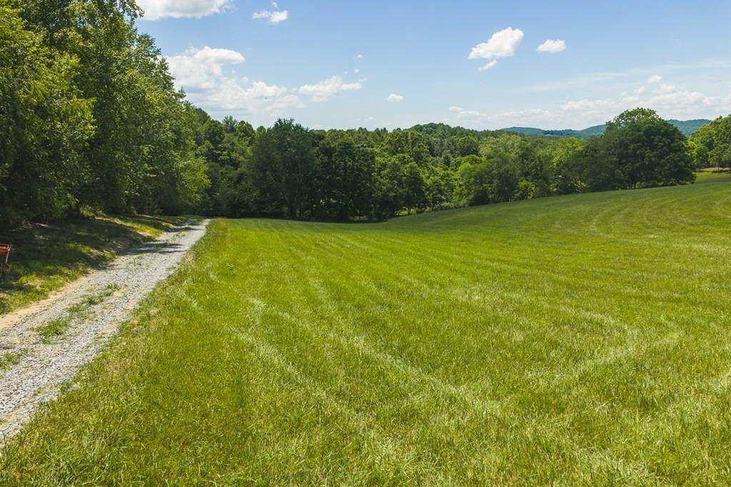 Lot 1 Brush Creek Rd - Photo 1