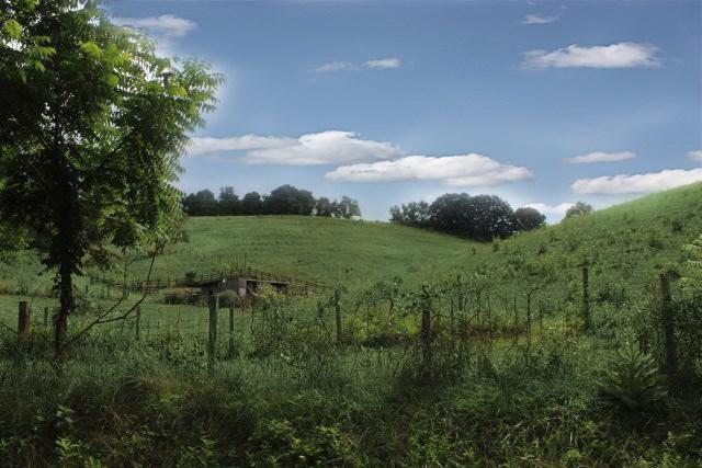 1388 Atkins Mill Road - Photo 1