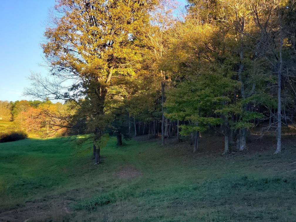 TBD Crestview Mountain Dr Lot 47 - Photo 1