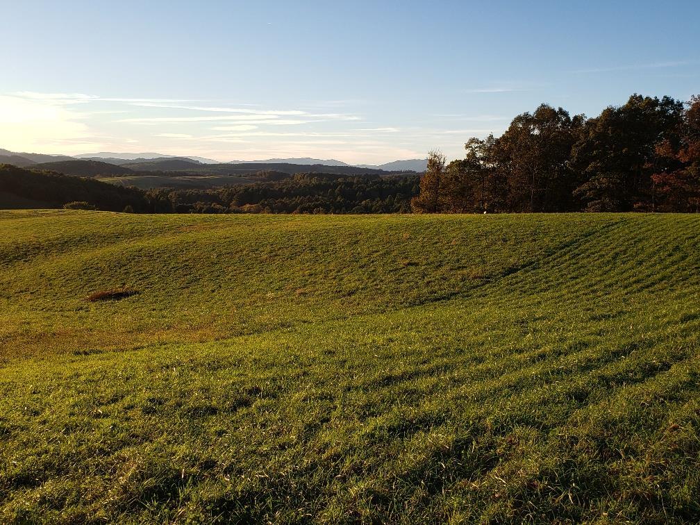 TBD Crestview Mountain Dr Lot 46 - Photo 1
