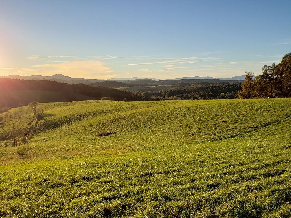 TBD Crestview Mountain Dr Lot 35 - Photo 1