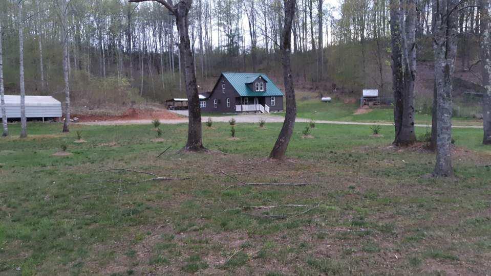 1612 Lone Ivy Rd - Photo 1