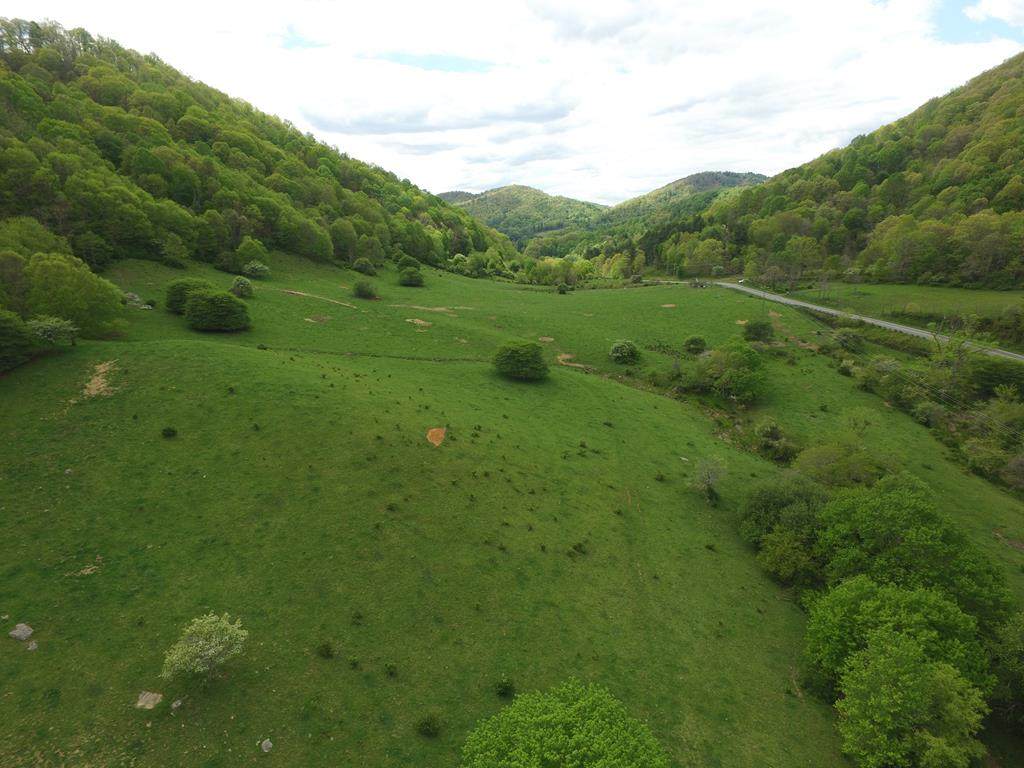TBD Old Bridle Creek Rd - Photo 1