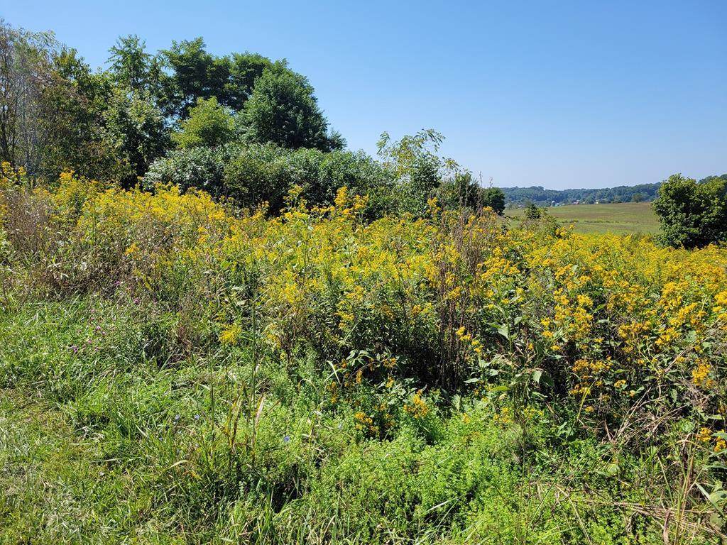 TBD Lot 24, Musick Dr. - Photo 1
