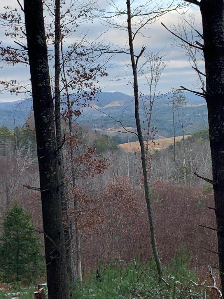 TBD Crackers Neck Rd - Photo 1