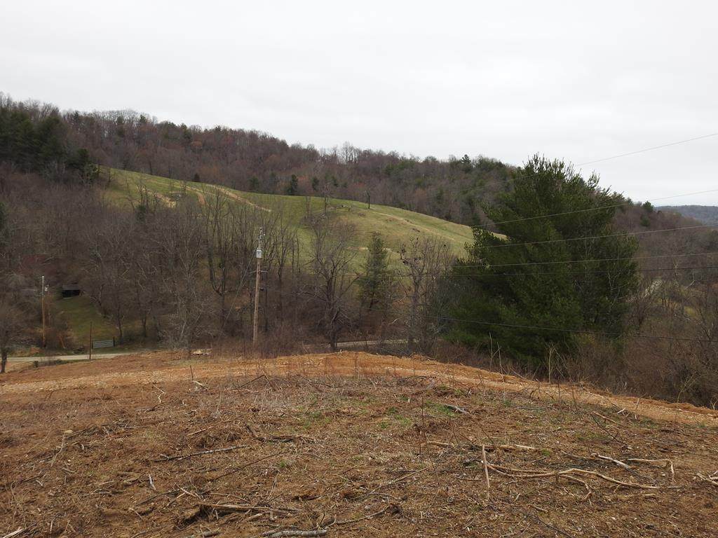 TBD Briar Patch Mountain Rd - Photo 1