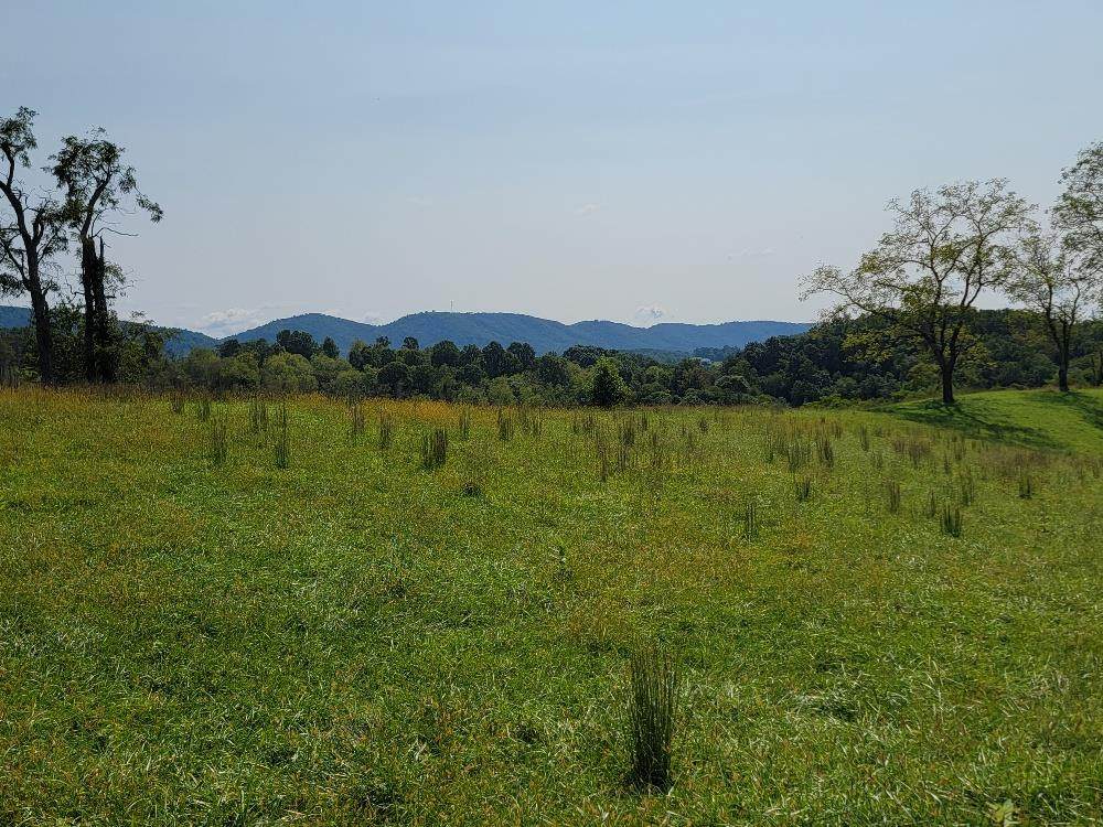 Lot # 40 Moxley Ridge Rd. - Photo 1
